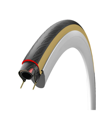Vittoria Rubino VTLR
